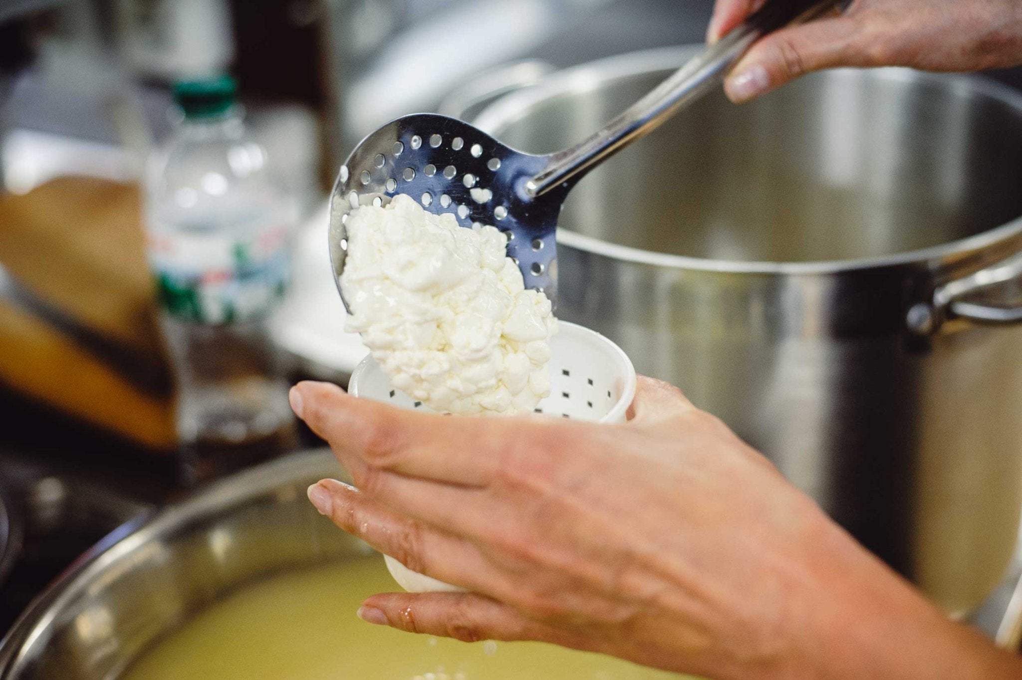 Cheese Making pH Guide: How to Test and Control Acidity for Perfect Cheese - New England Cheesemaking Supply Company