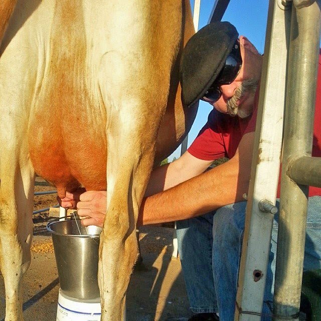 Danny Kostiuk in Ontario, California - New England Cheesemaking Supply Company