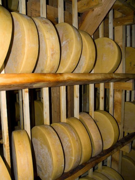 FDA vs Artisan Cheese Makers - Wooden Shelves Issue - New England Cheesemaking Supply Company