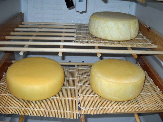 How to Make a Cheese "Cave" - New England Cheesemaking Supply Company