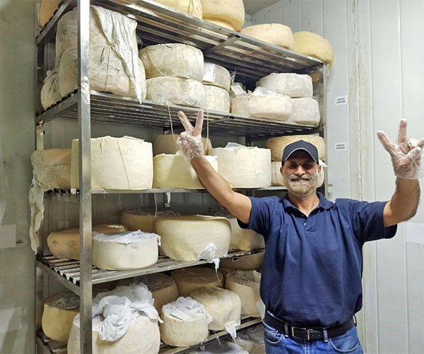 Imran Saleh Update - The Pandemic in Pakistan - New England Cheesemaking Supply Company