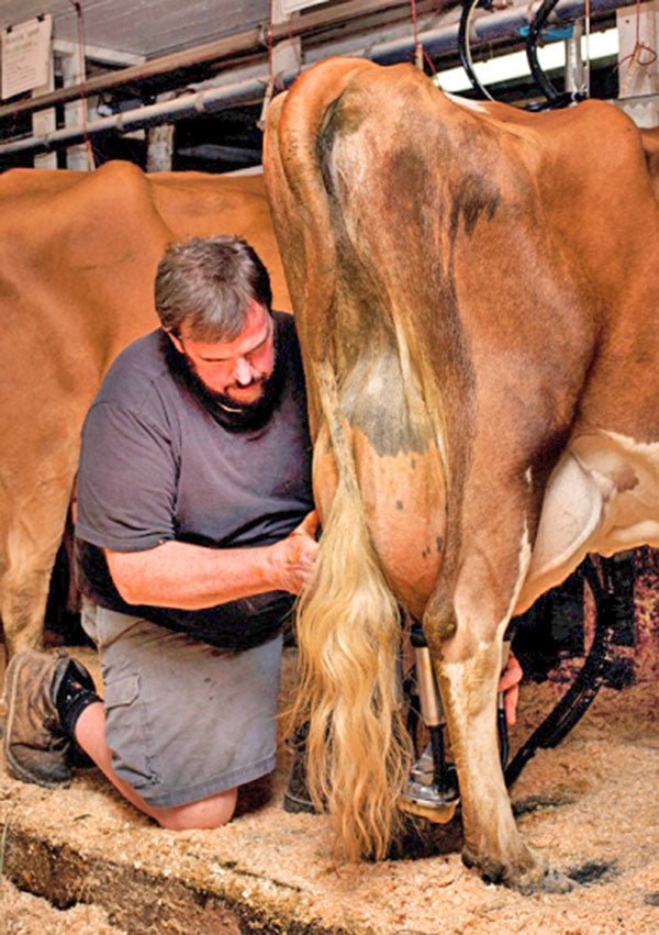 John Miller of Winterplace Farm in Leeds, Maine - New England Cheesemaking Supply Company