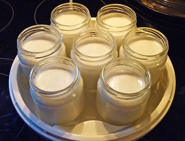 Julie Ott's Goat Milk Yogurt - New England Cheesemaking Supply Company