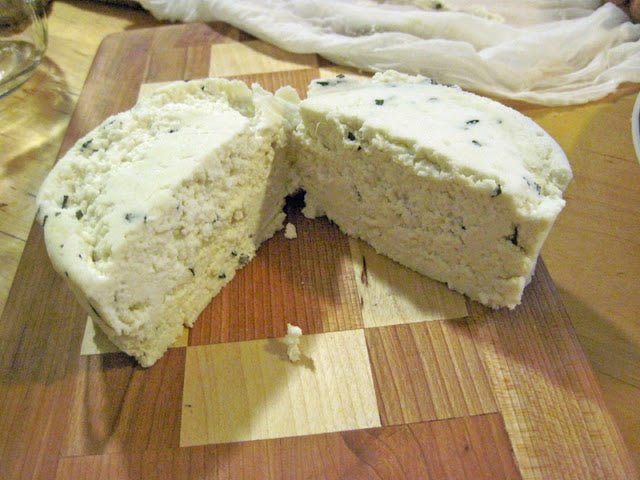 Kathleen Burek's Goat Milk Cheese - New England Cheesemaking Supply Company