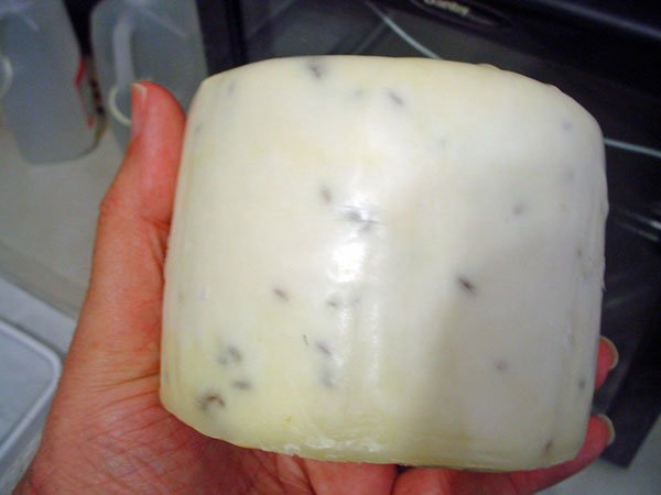 Kümmelkäse (Caraway Cheese) by Bob Albers - New England Cheesemaking Supply Company