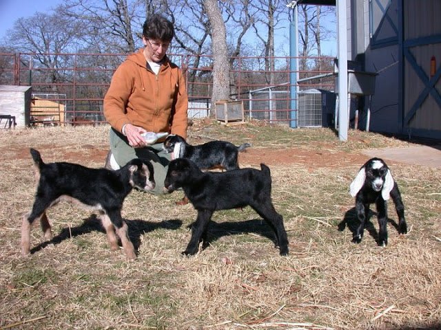 Latte Da Dairy in Flower Mound, Texas - New England Cheesemaking Supply Company