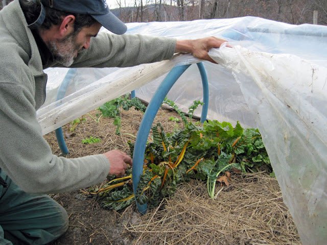 Laughing Dog Farm in Gill, MA - New England Cheesemaking Supply Company