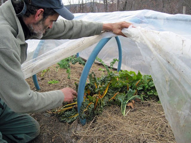 Laughing Dog Farm in Gill, MA - New England Cheesemaking Supply Company