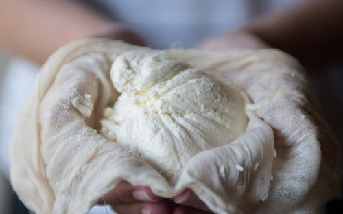 Laurie Higgins Making Cheese - New England Cheesemaking Supply Company