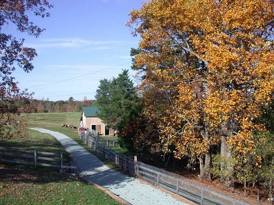 Learning to Make Cheese at a Bed & Breakfast Farm-Stay - New England Cheesemaking Supply Company