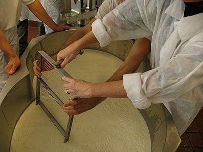 French Alpine Cheese Making