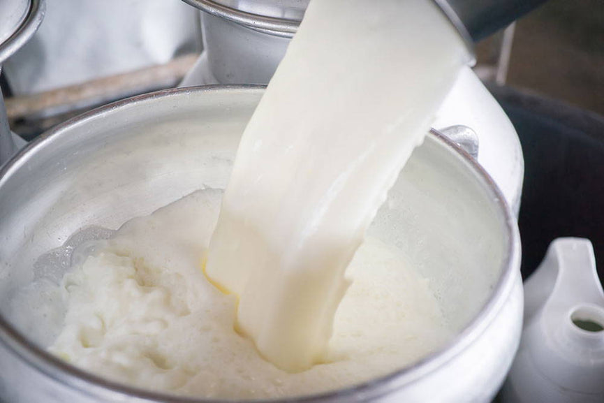 Milk and Cream FAQ