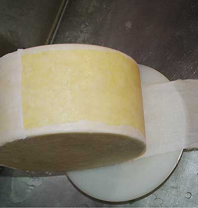 How to Bandage Wrap Cheddar