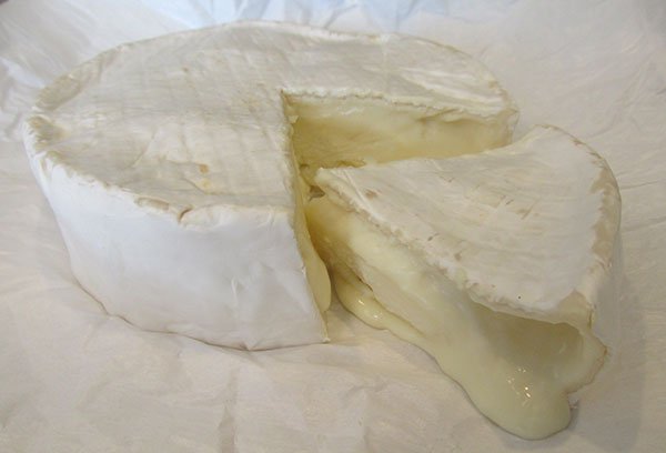 Making Camembert for Beginners-Part 3/Easy Recipe - New England Cheesemaking Supply Company