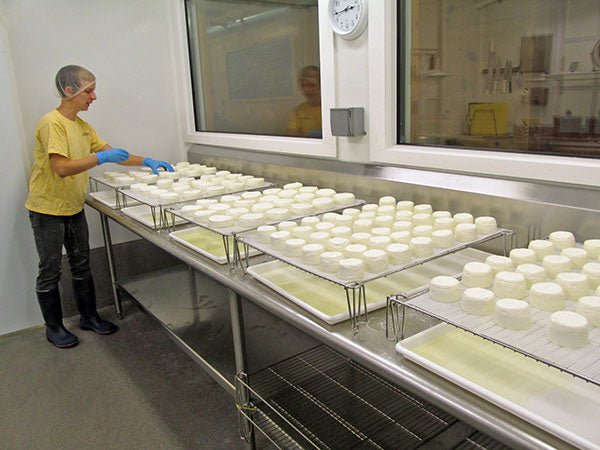 Making Cheese at Hildene in Vermont - New England Cheesemaking Supply Company