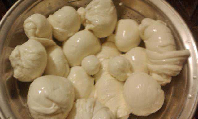 Making Cheese in Pakistan - New England Cheesemaking Supply Company