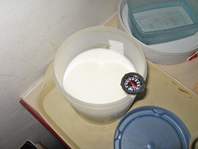 Making Cheese in Thailand - New England Cheesemaking Supply Company