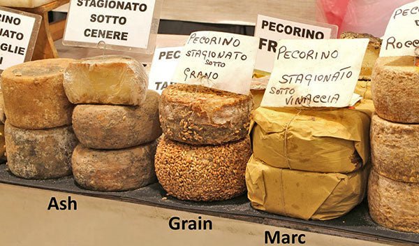 Making Pecorino Toscano and Variations by Yoel Blumberger - New England Cheesemaking Supply Company