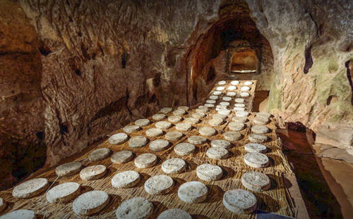 Making Traditional Saint Nectaire - New England Cheesemaking Supply Company