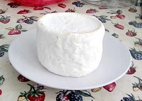 Mike's "Cheddarish with Camembert Outside" - New England Cheesemaking Supply Company