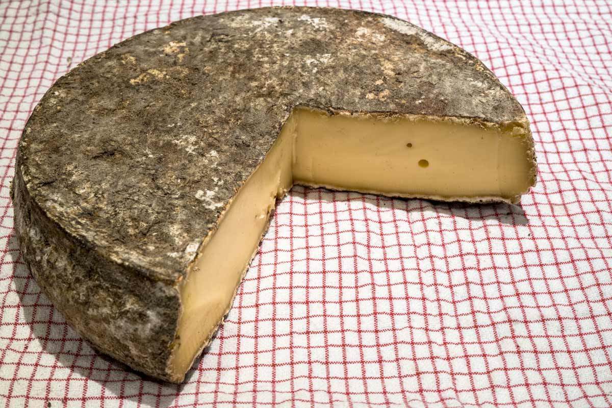 Moos-Letter July, 2018 - New England Cheesemaking Supply Company