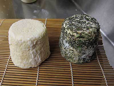 Moos-Letter October, 2010 - New England Cheesemaking Supply Company