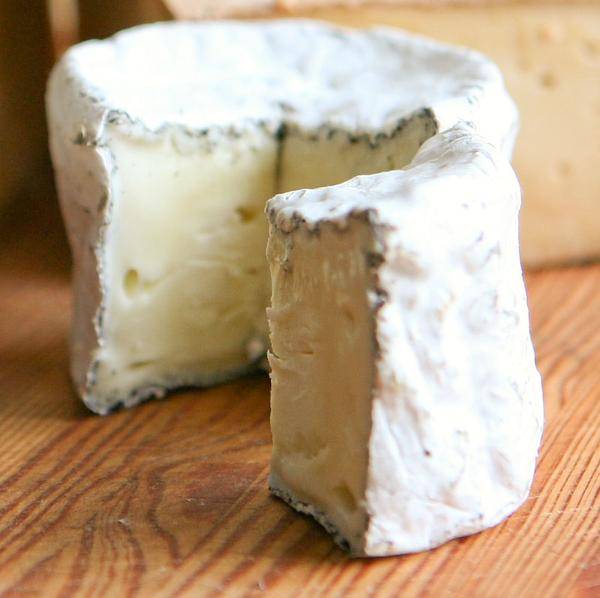 Moos-Letter October, 2012 - New England Cheesemaking Supply Company