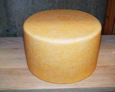 Moos-Letter Spring, 2008 - New England Cheesemaking Supply Company