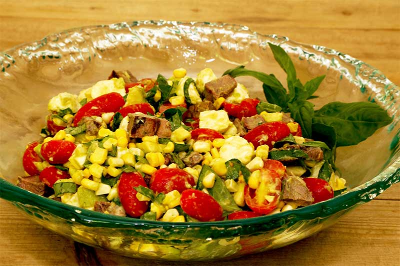 Mozzarella, Tomato And Steak Salad - New England Cheesemaking Supply Company