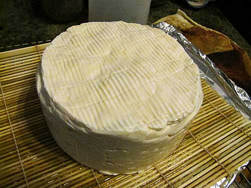 Munster Anyone?  Suzanne McMinn Did it Again! - New England Cheesemaking Supply Company