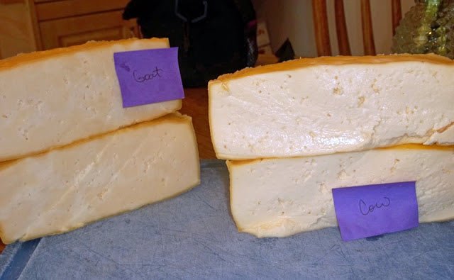 Mystery Holes in Her Cheese - New England Cheesemaking Supply Company