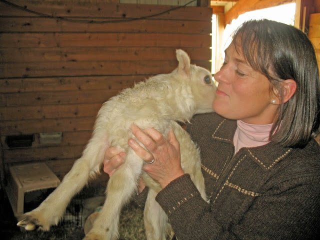 New Cheese Maker#10 - Tara Tarbet - New England Cheesemaking Supply Company