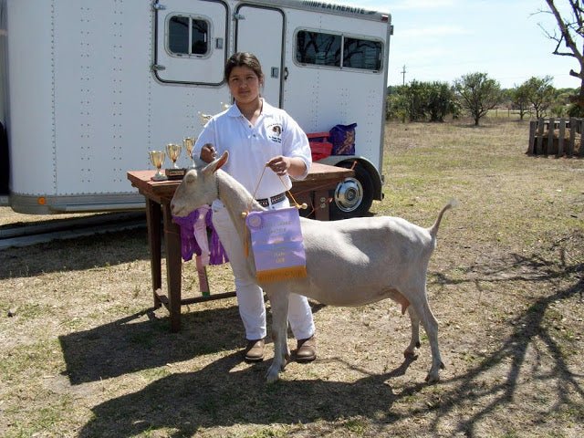 New Cheese Maker#9 - Mia Herrera - New England Cheesemaking Supply Company