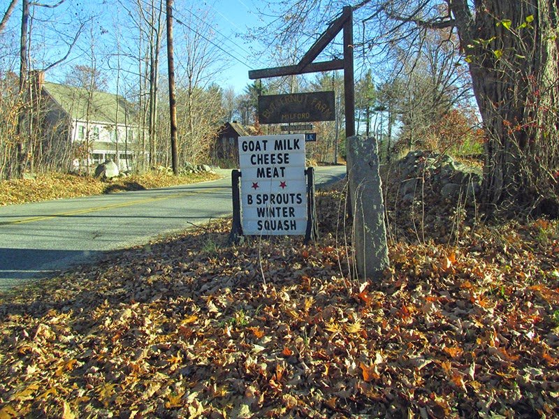 Noreen O'Connell in Milford, New Hampshire - New England Cheesemaking Supply Company