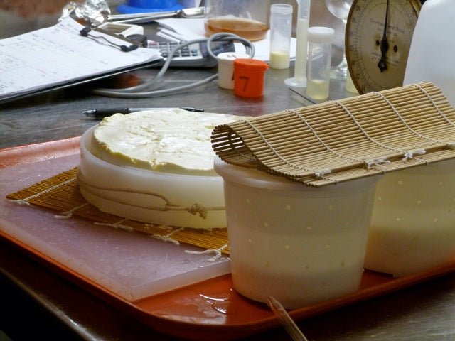 Notes from One of Jim Wallace's Workshops - New England Cheesemaking Supply Company