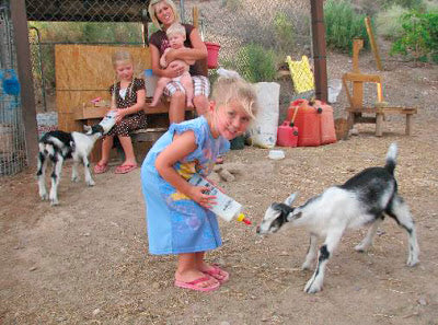 Raid at Quail Hollow Farm in Nevada