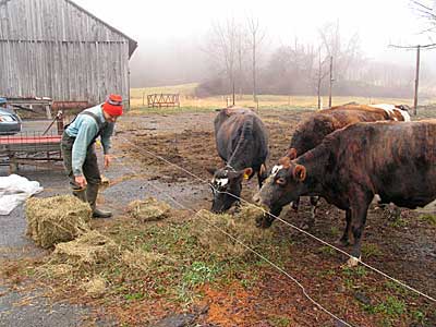 Paul Lacinski and Amy Klippenstein - New England Cheesemaking Supply Company