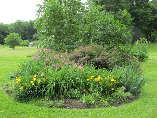 Pictures of Ricki's Gardens - New England Cheesemaking Supply Company