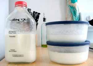 Probiotics in Yogurt - New England Cheesemaking Supply Company