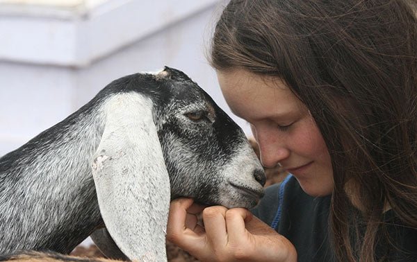 Raising a Kid Who Loves Goats! - New England Cheesemaking Supply Company