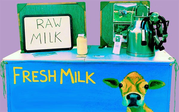 Raw Milk Progress in Massachusetts - New England Cheesemaking Supply Company