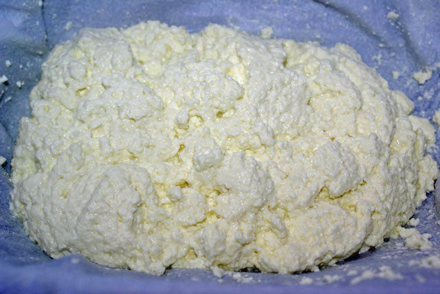 Whole Milk Ricotta with Tien