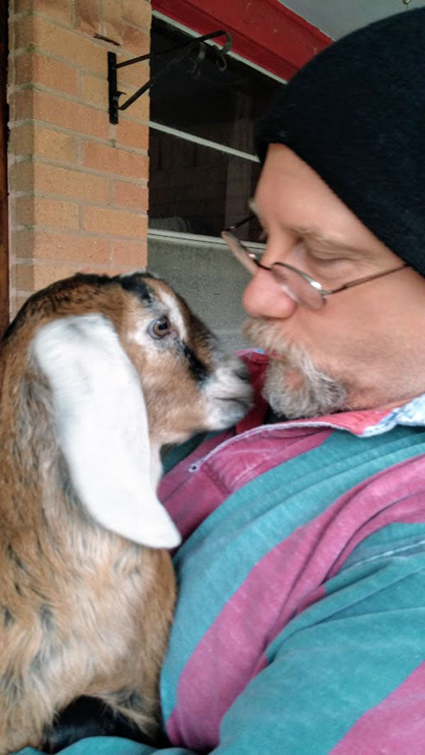 Man kissing baby goat