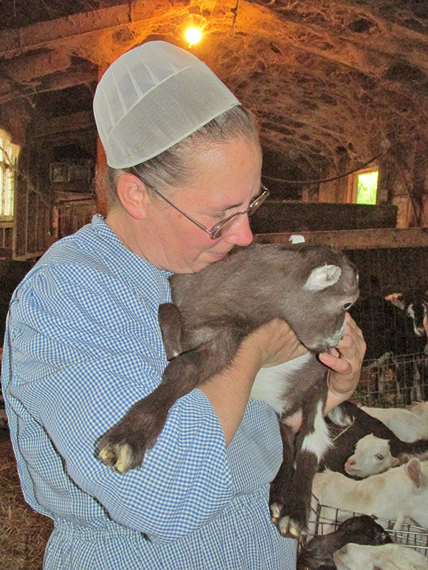 A Mennonite woman in a blue checkered dress holds a baby goat