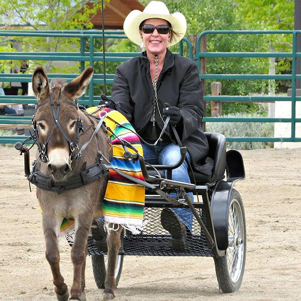 Women riding in carriage behind donkey