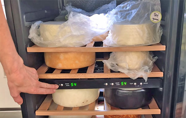 cheese wheels inside a fridge