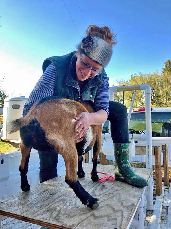 Cheesemaker with a goat