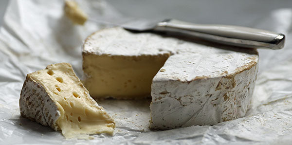 Making Camembert for Beginners-Part 1-Why It's So Easy!