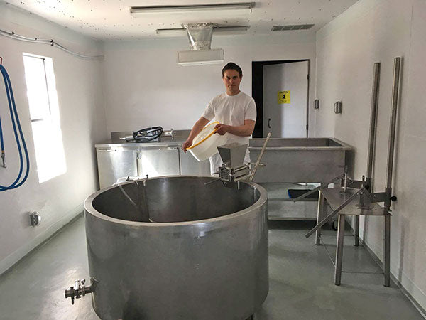 A young man in a white shirt and pants holds a large circular plastic container as he stands in a room used for cheesemaking. A large metal vat is in front of him with various metal cabinets and tubs are behind him.