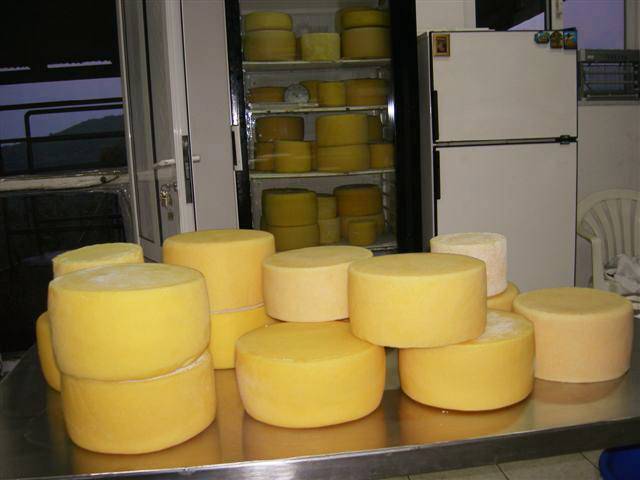 Sister Joanna - New England Cheesemaking Supply Company